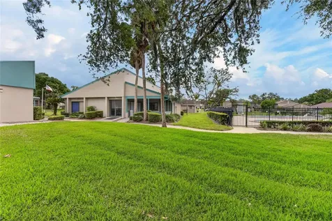 7933 Pine Drive Temple Terrace FL 33637