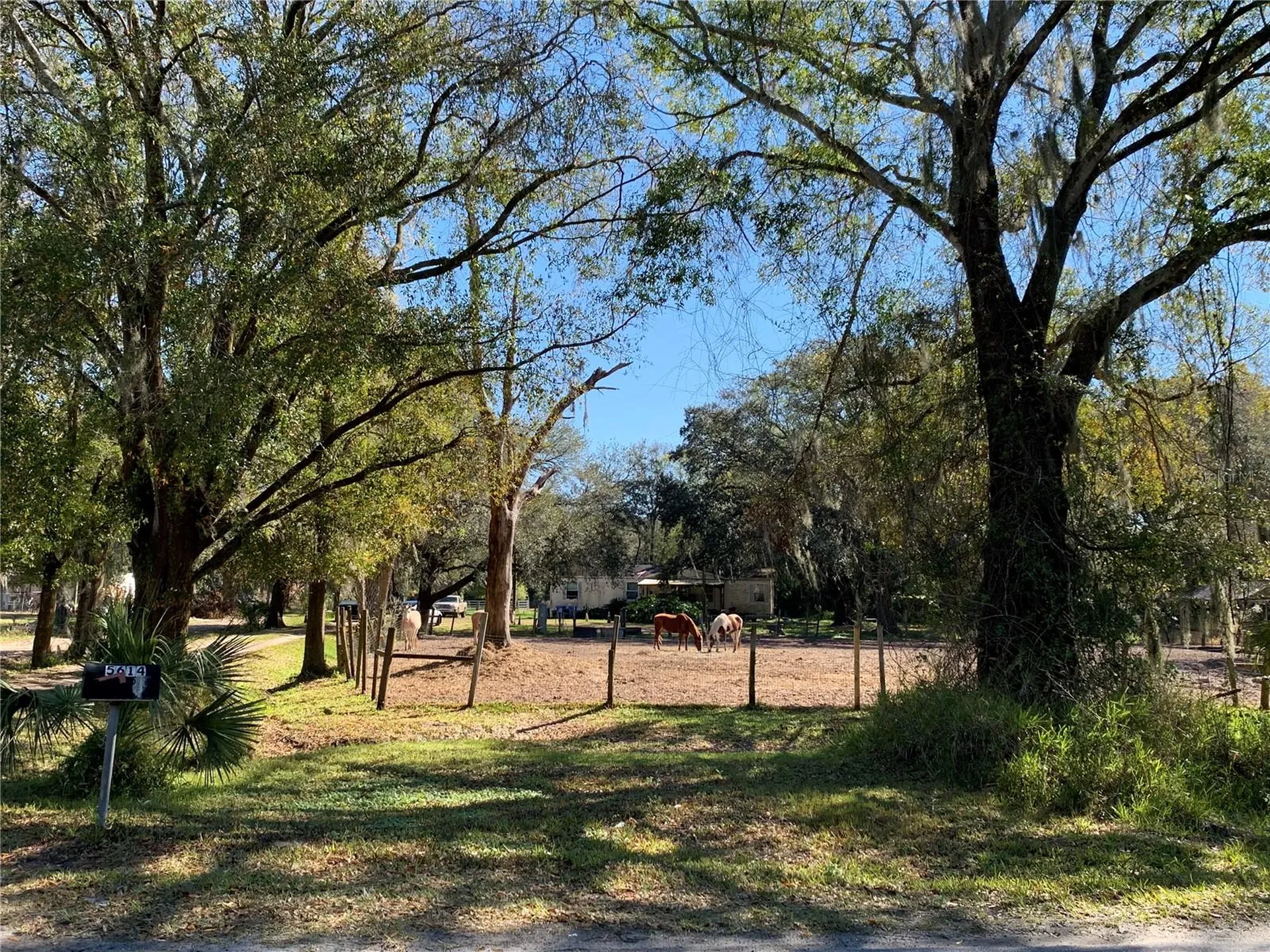 5614 Watson Riverview FL 33578