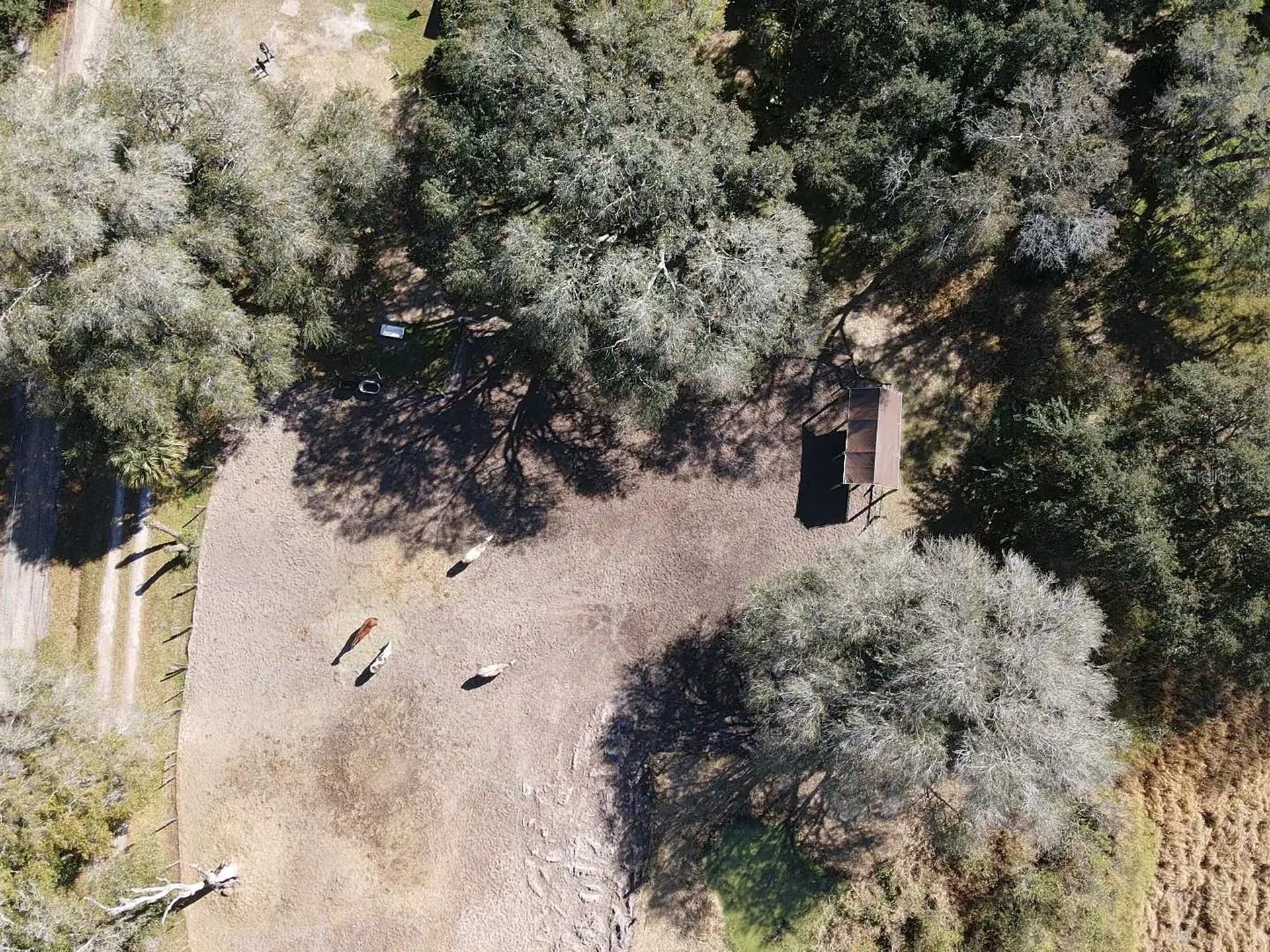 5614 Watson Riverview FL 33578