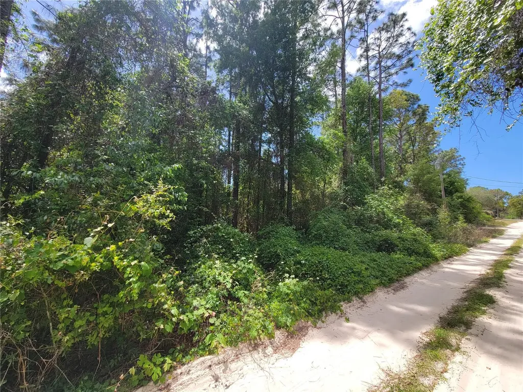 6685 W Euwell Court Crystal River FL 34429