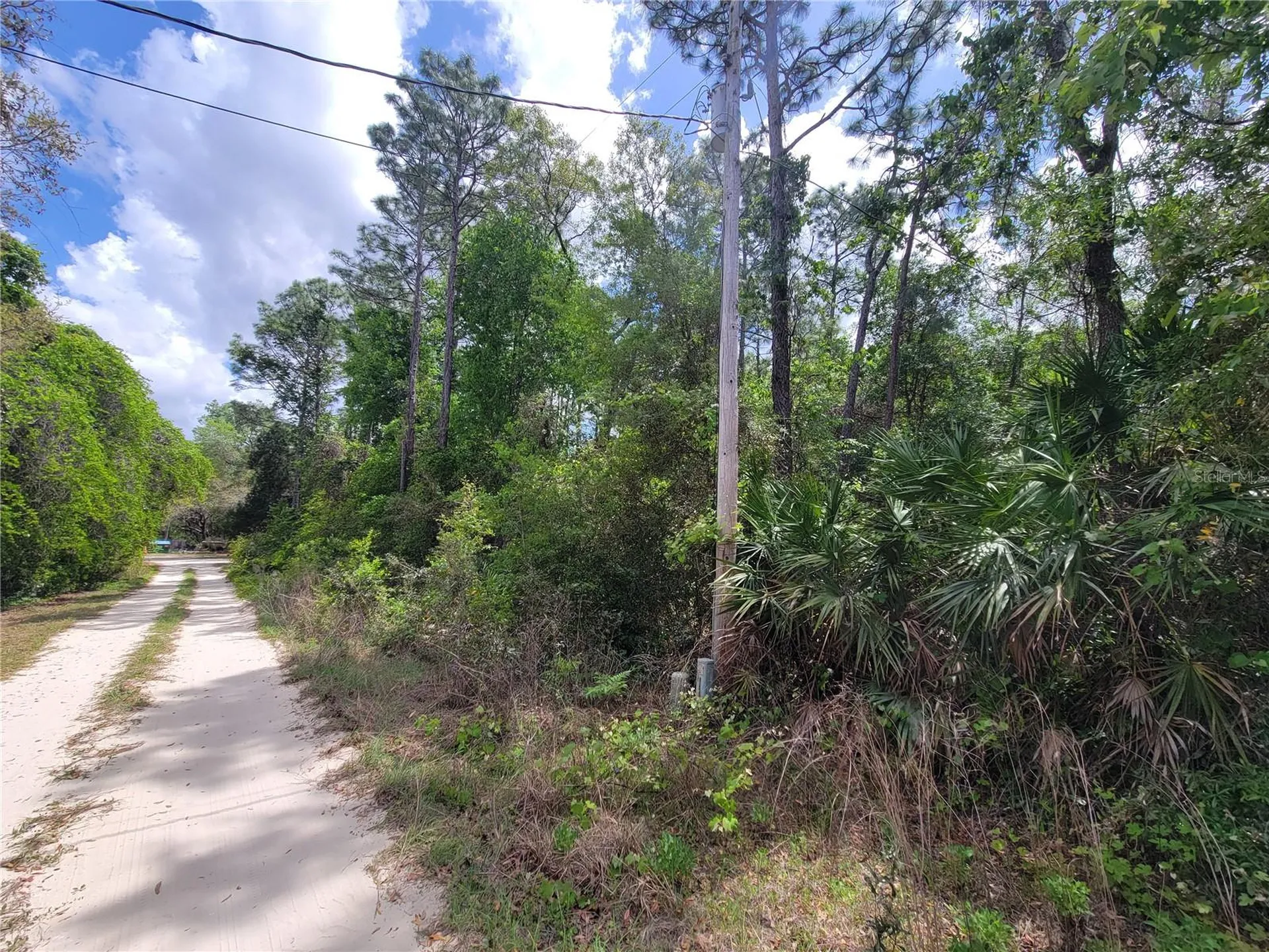 6685 W Euwell Court Crystal River FL 34429