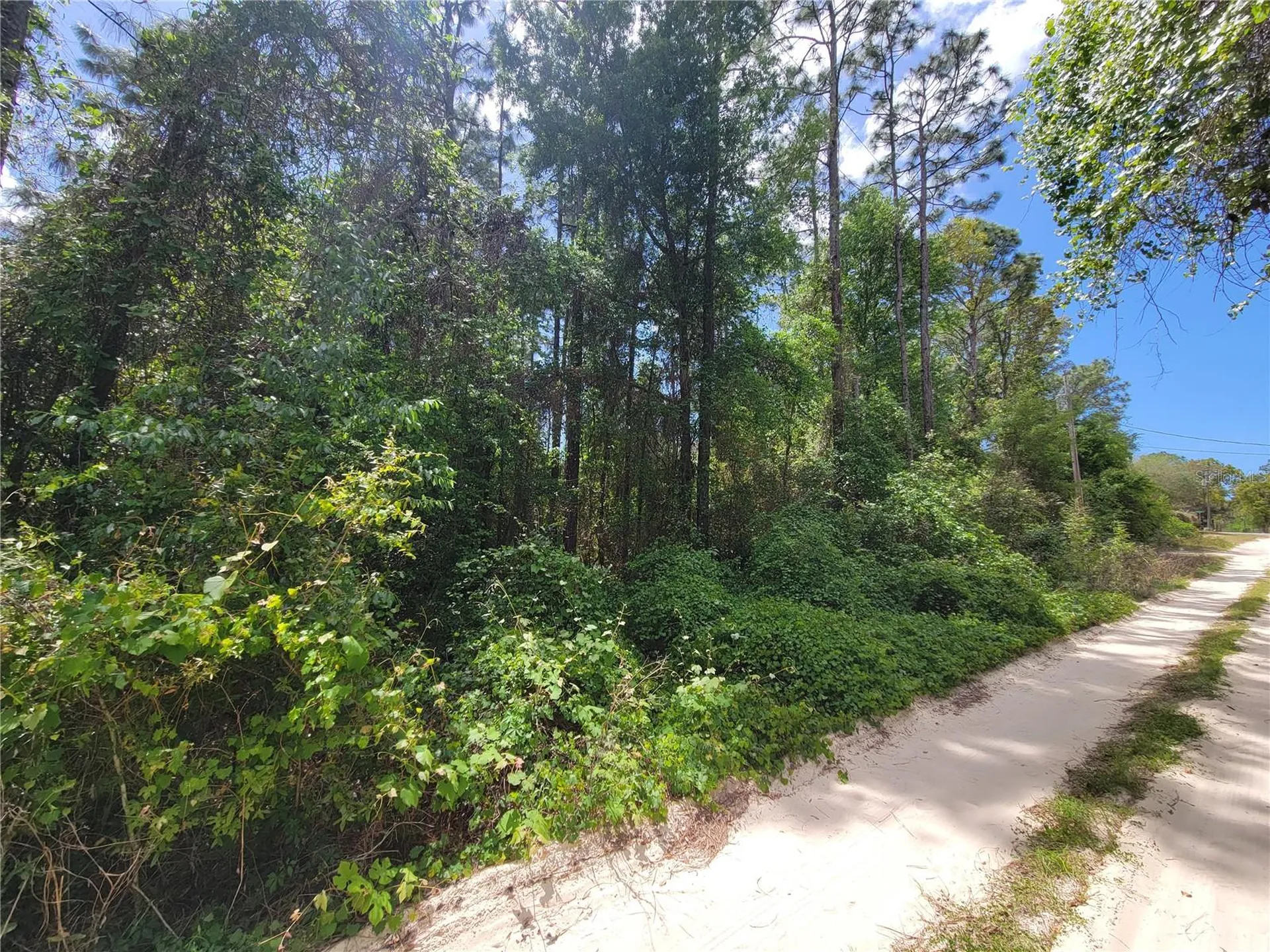 6685 W Euwell Court Crystal River FL 34429