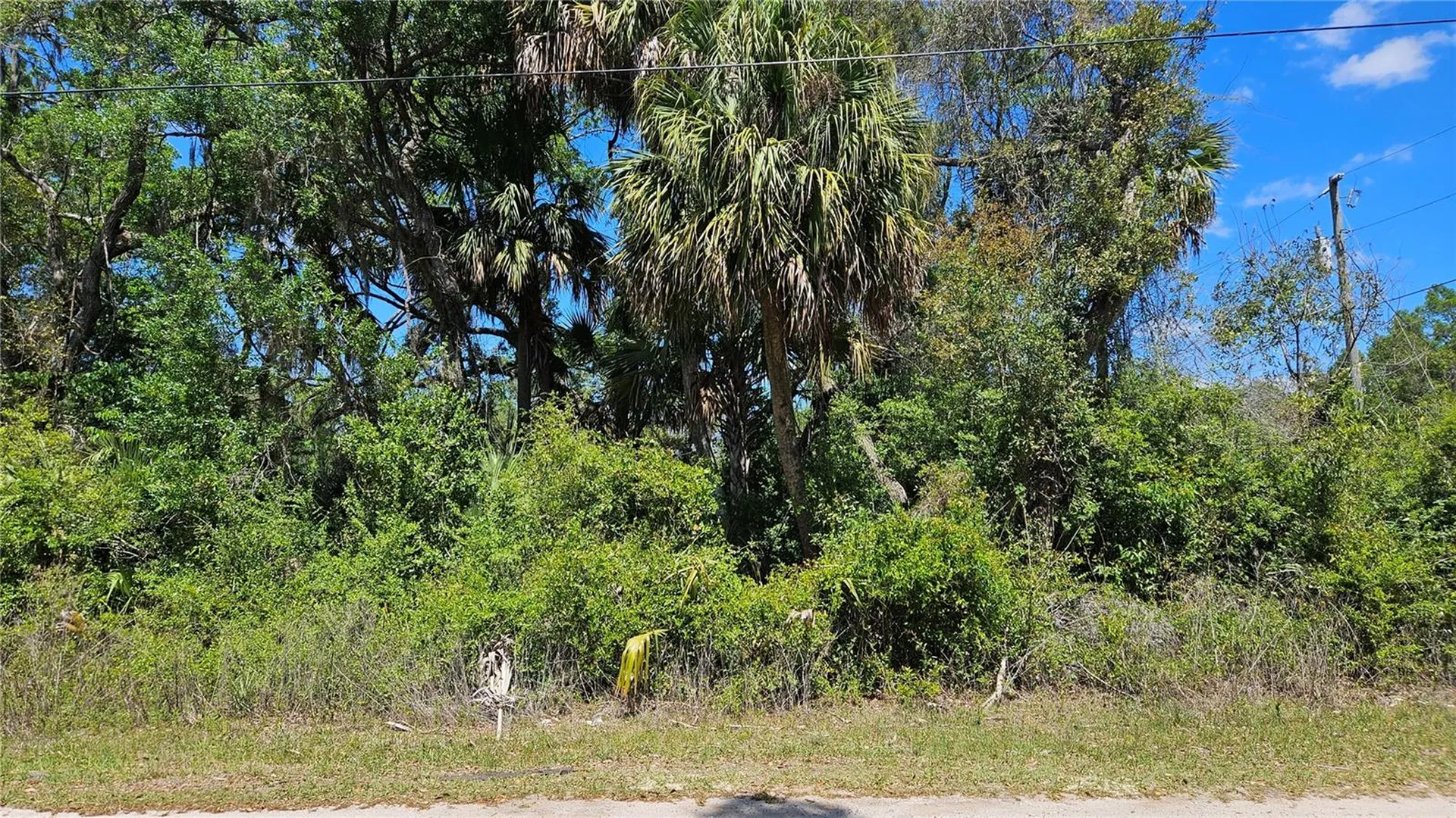 11201 W Gem Street Crystal River FL 34428