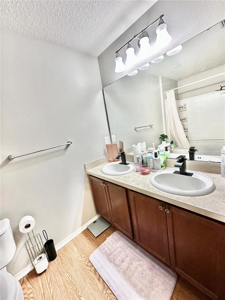 4411 Banyan Tree Place Riverview FL 33578