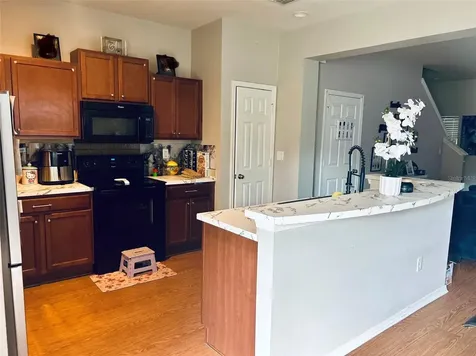 4411 Banyan Tree Place Riverview FL 33578
