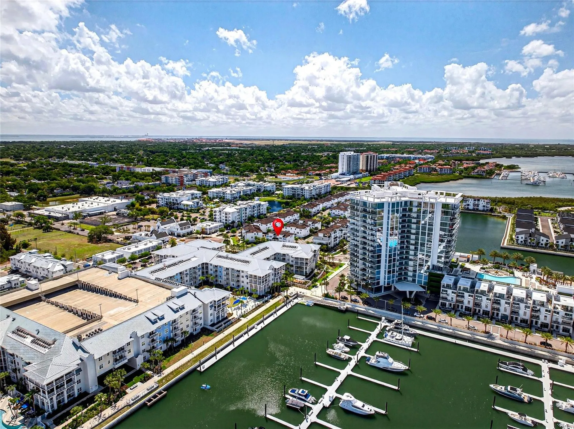 5351 Bridge Street Tampa FL 33611