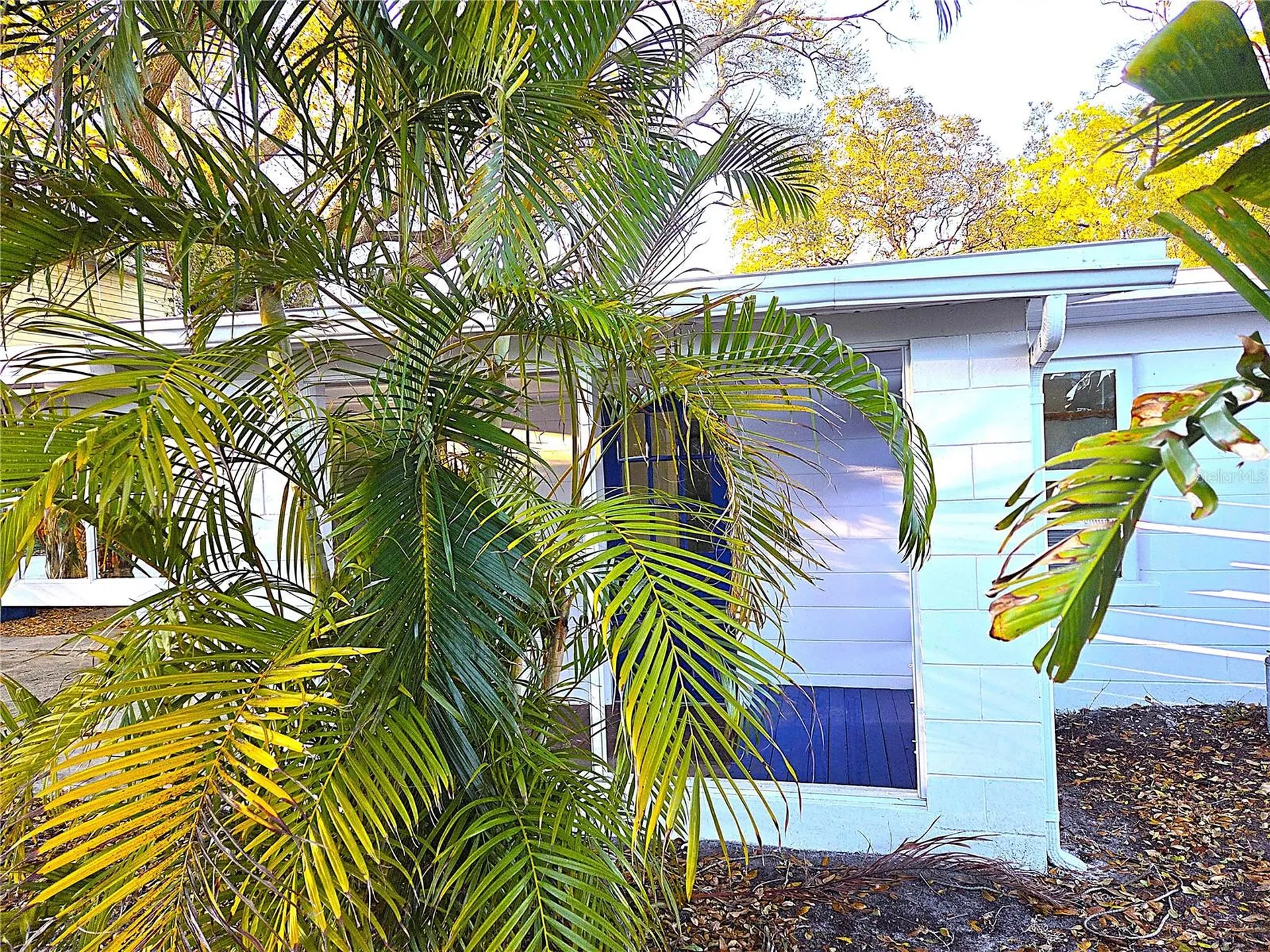 360 5th Avenue NW Largo FL 33770