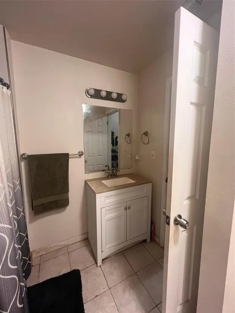 3916 Magnolia Lake Lane Orlando FL 32810