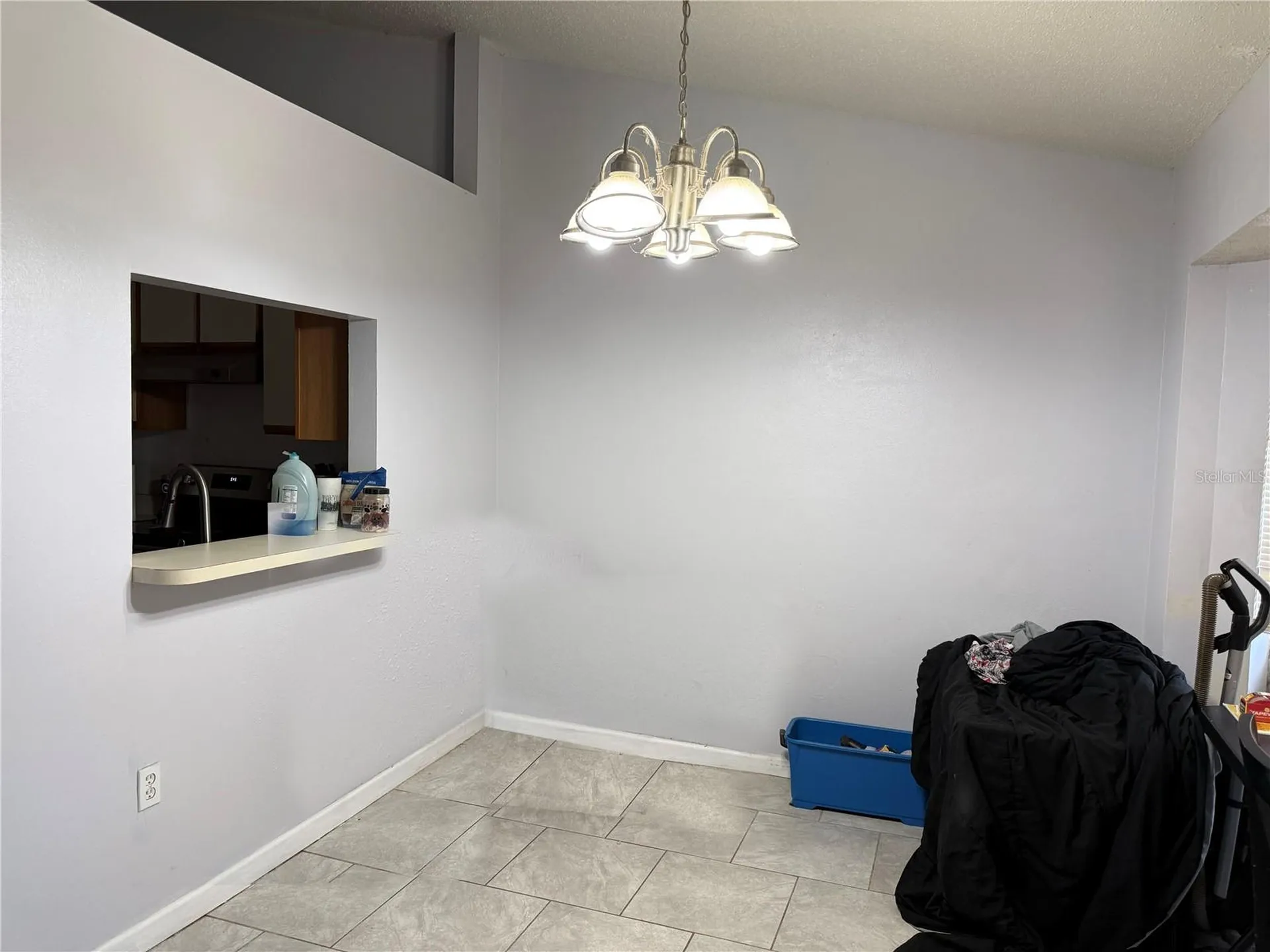 3916 Magnolia Lake Lane Orlando FL 32810