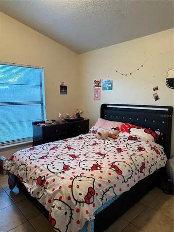 3916 Magnolia Lake Lane Orlando FL 32810