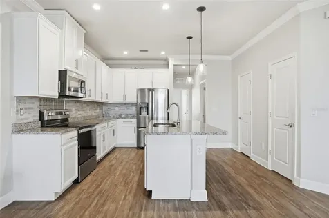 10335 Heron Hideaway Loop Land O Lakes FL 34638
