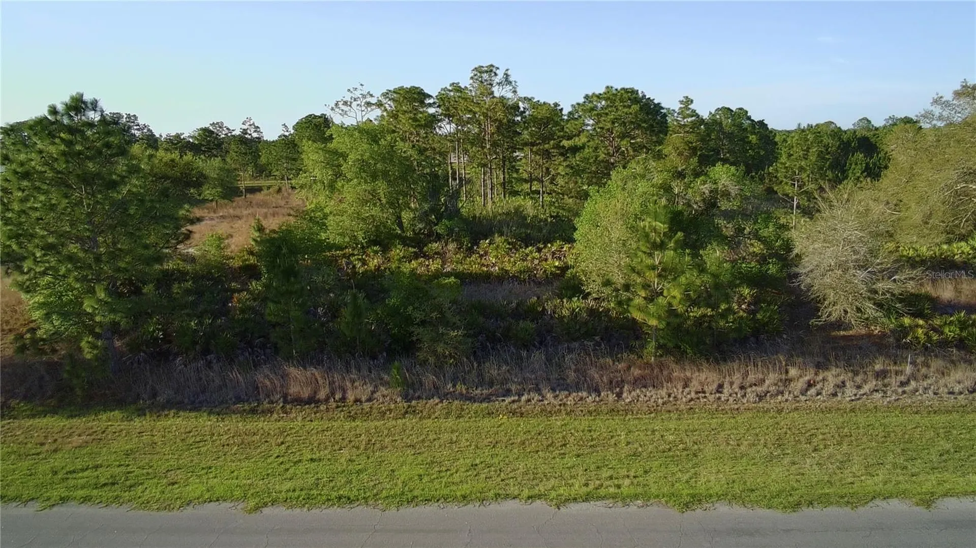 Reynolds Parkway Orlando FL 32833