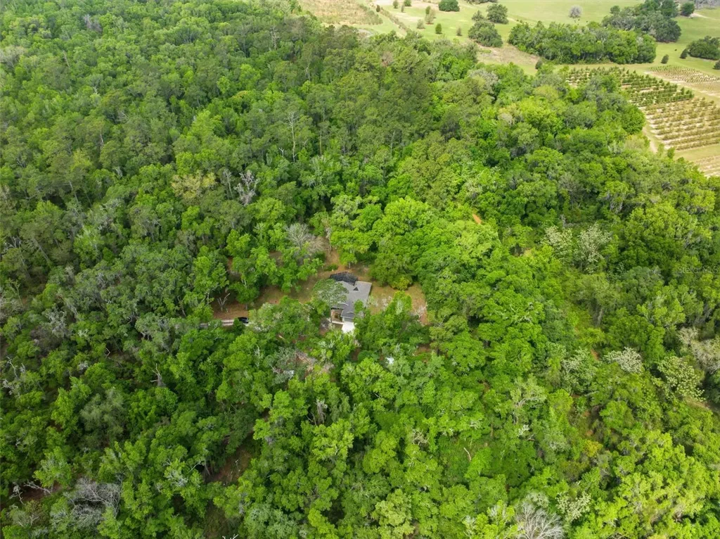 11459 Trail Ridge Run Brooksville FL 34601