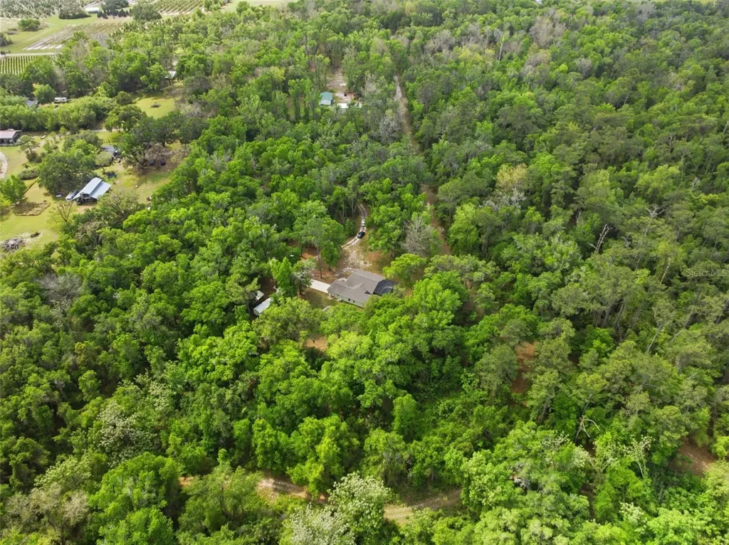 11459 Trail Ridge Run Brooksville FL 34601