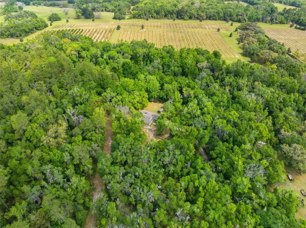11459 Trail Ridge Run Brooksville FL 34601