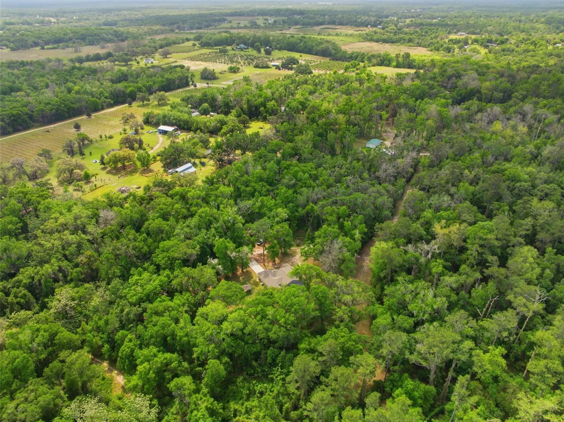 11459 Trail Ridge Run Brooksville FL 34601