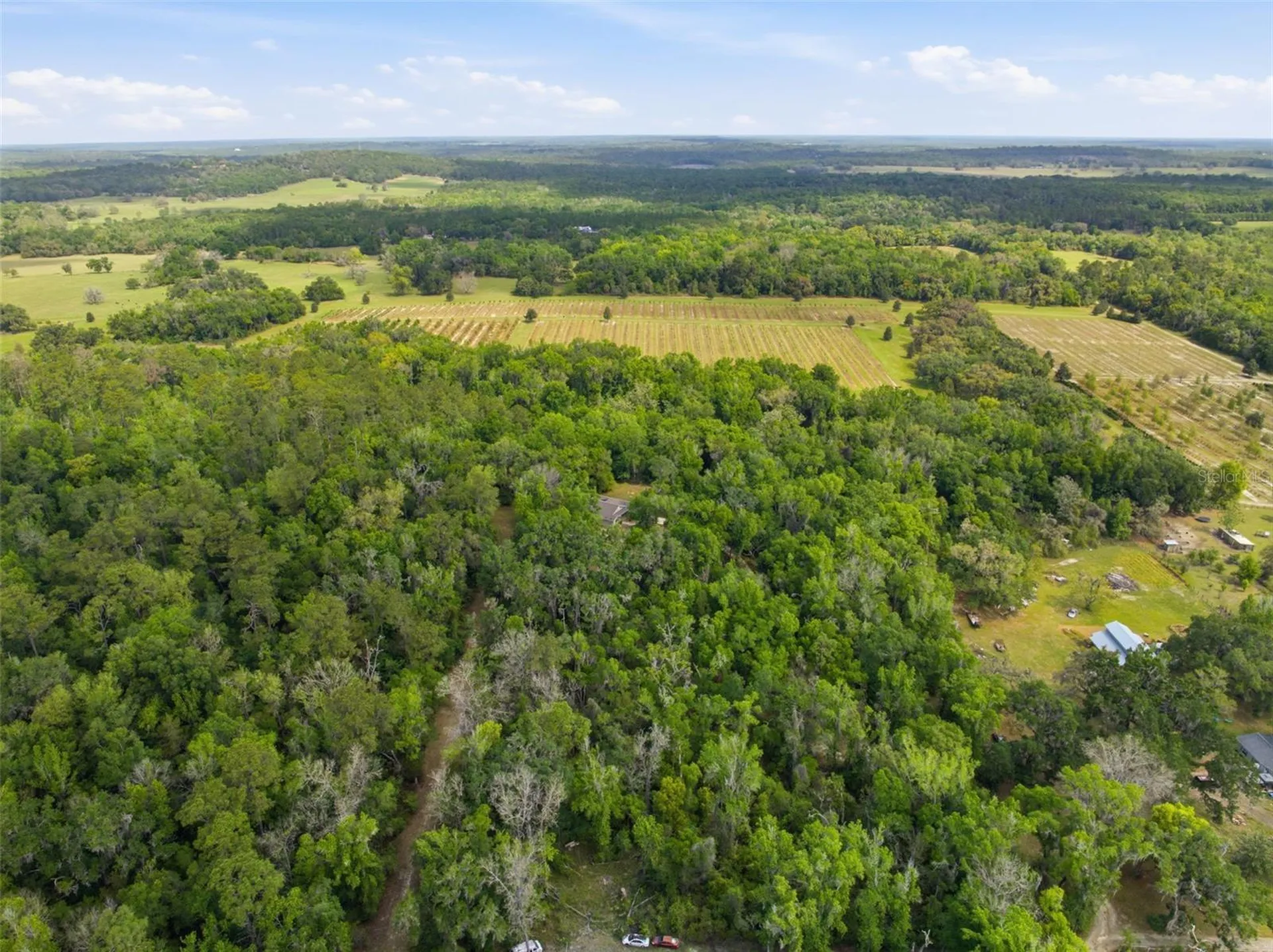 11459 Trail Ridge Run Brooksville FL 34601
