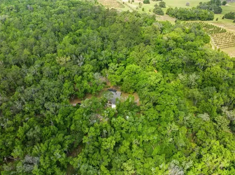 11459 Trail Ridge Run Brooksville FL 34601