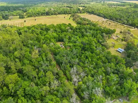 11459 Trail Ridge Run Brooksville FL 34601