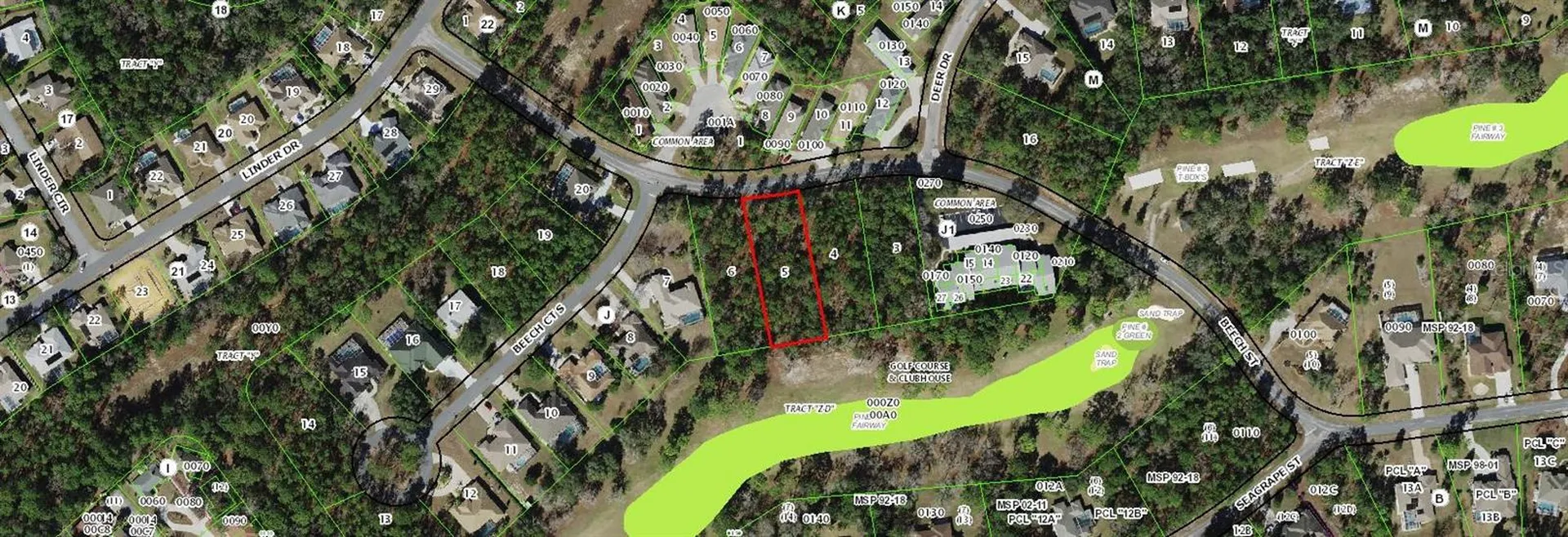19 Beech Street Homosassa FL 34446