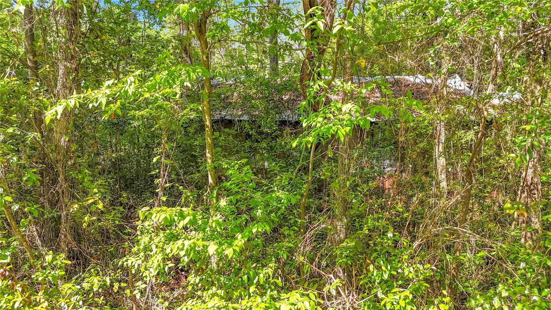 Lot 001 NW 37th Drive Gainesville FL 32606