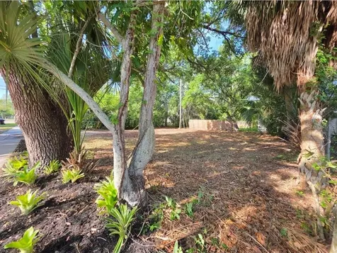 2715 5th Street S St Petersburg FL 33705