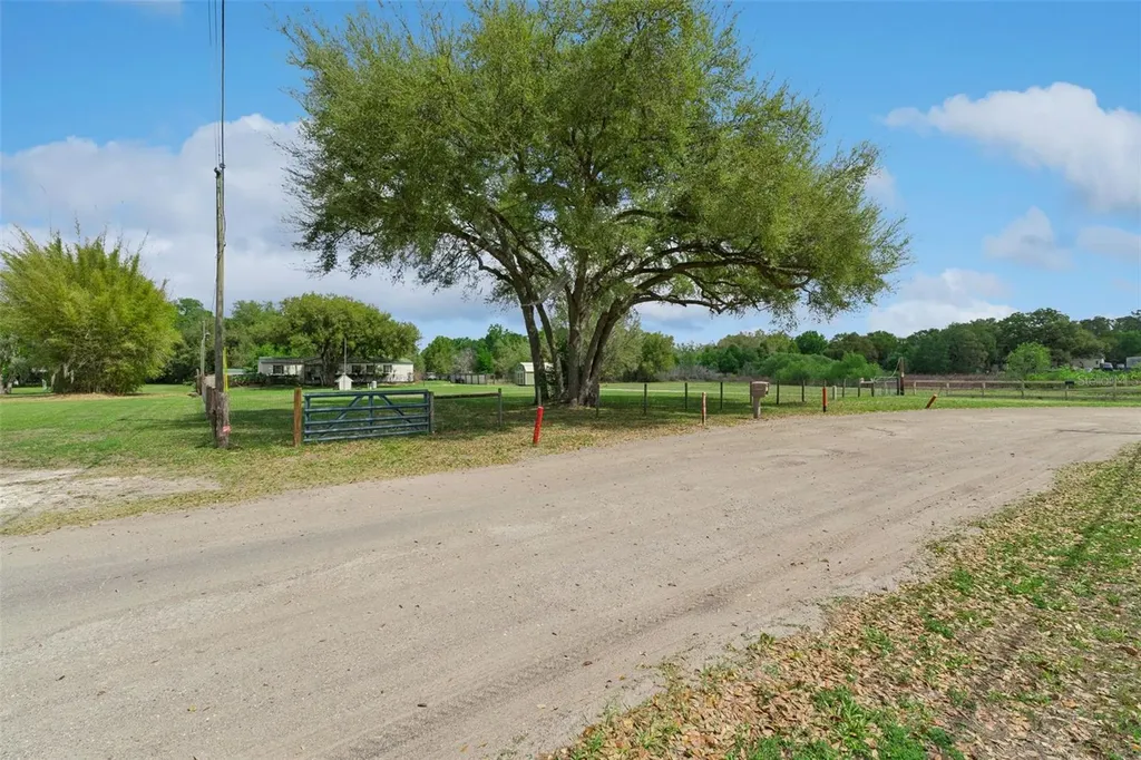 33601 Tammy Lane Wesley Chapel FL 33543