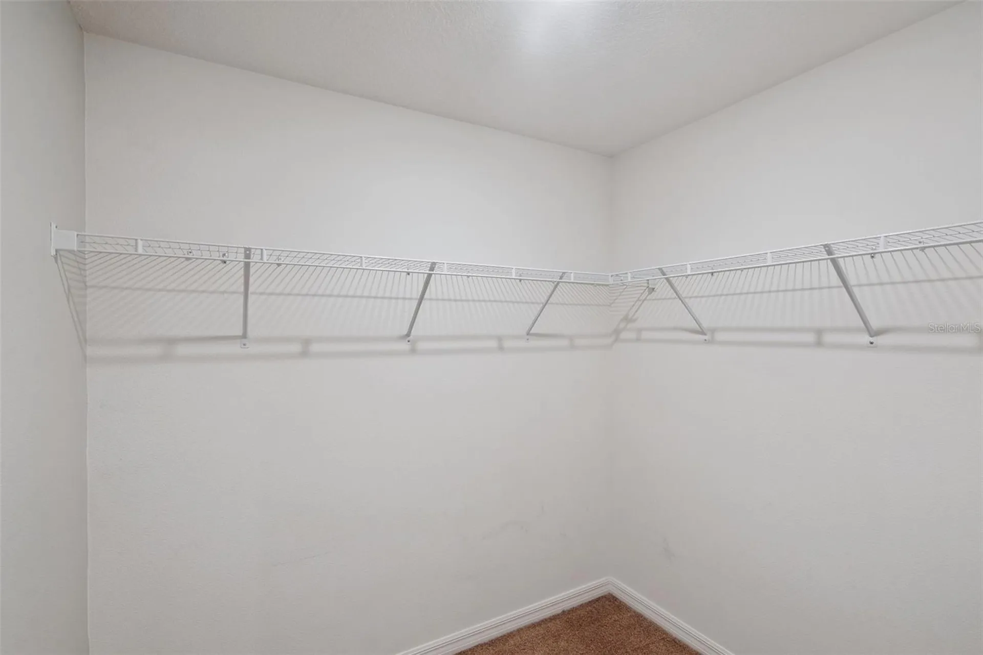 12019 Indian Grass Way Leesburg FL 34788