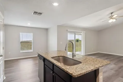 12019 Indian Grass Way Leesburg FL 34788