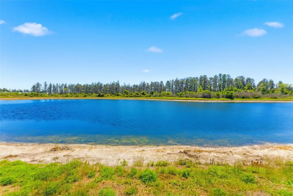 10378 Gliding Eagle Way Land O Lakes FL 34638