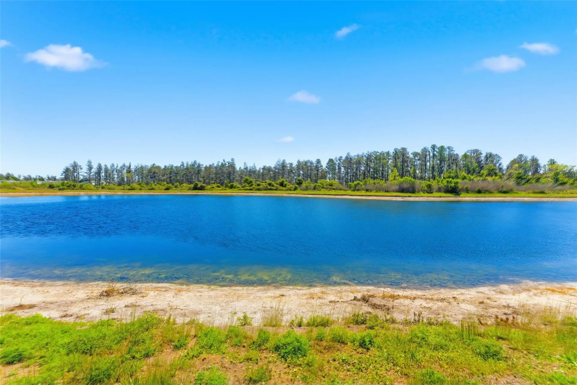10378 Gliding Eagle Way Land O Lakes FL 34638
