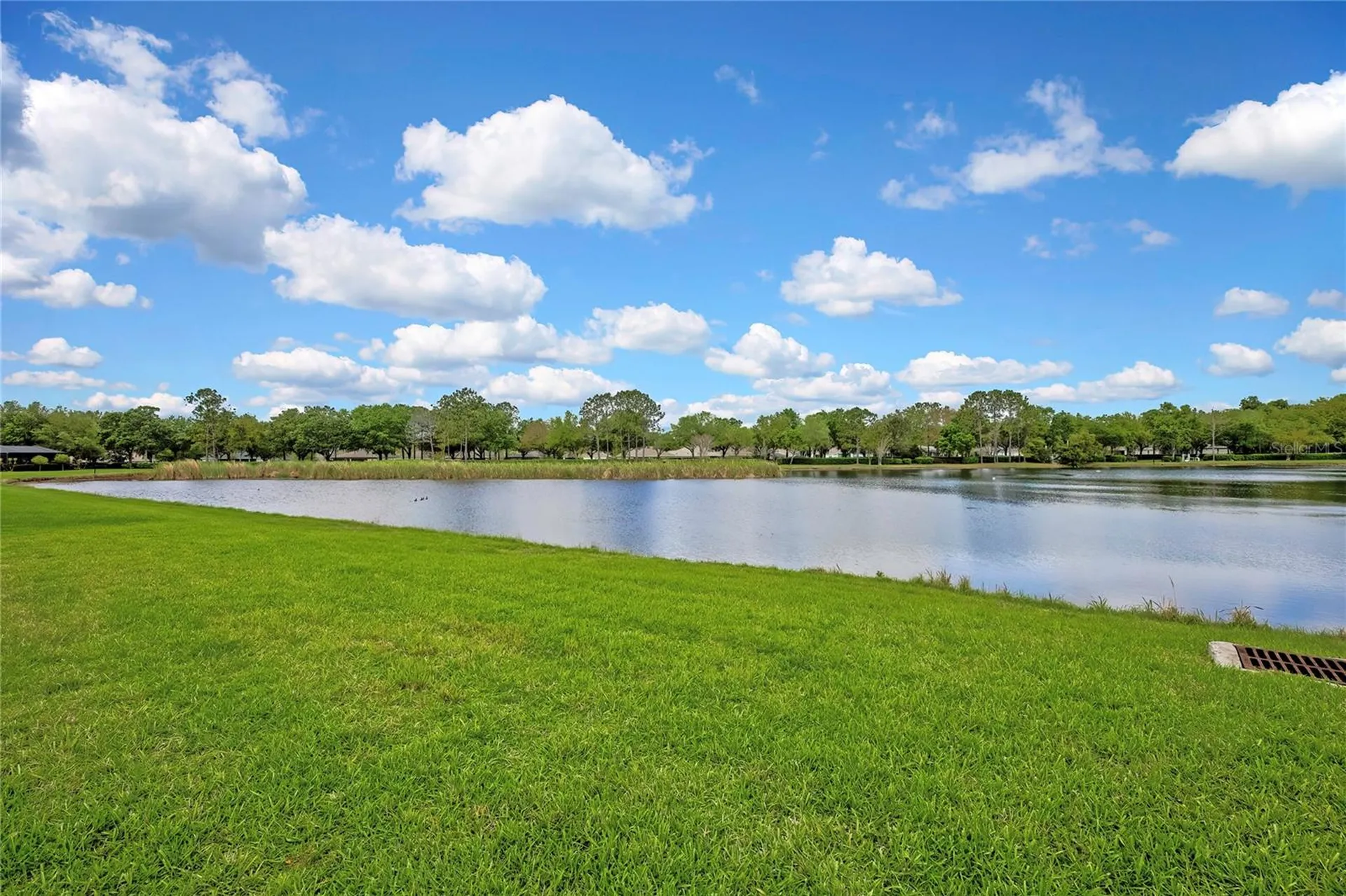 19863 Tattnall Way Brooksville FL 34601