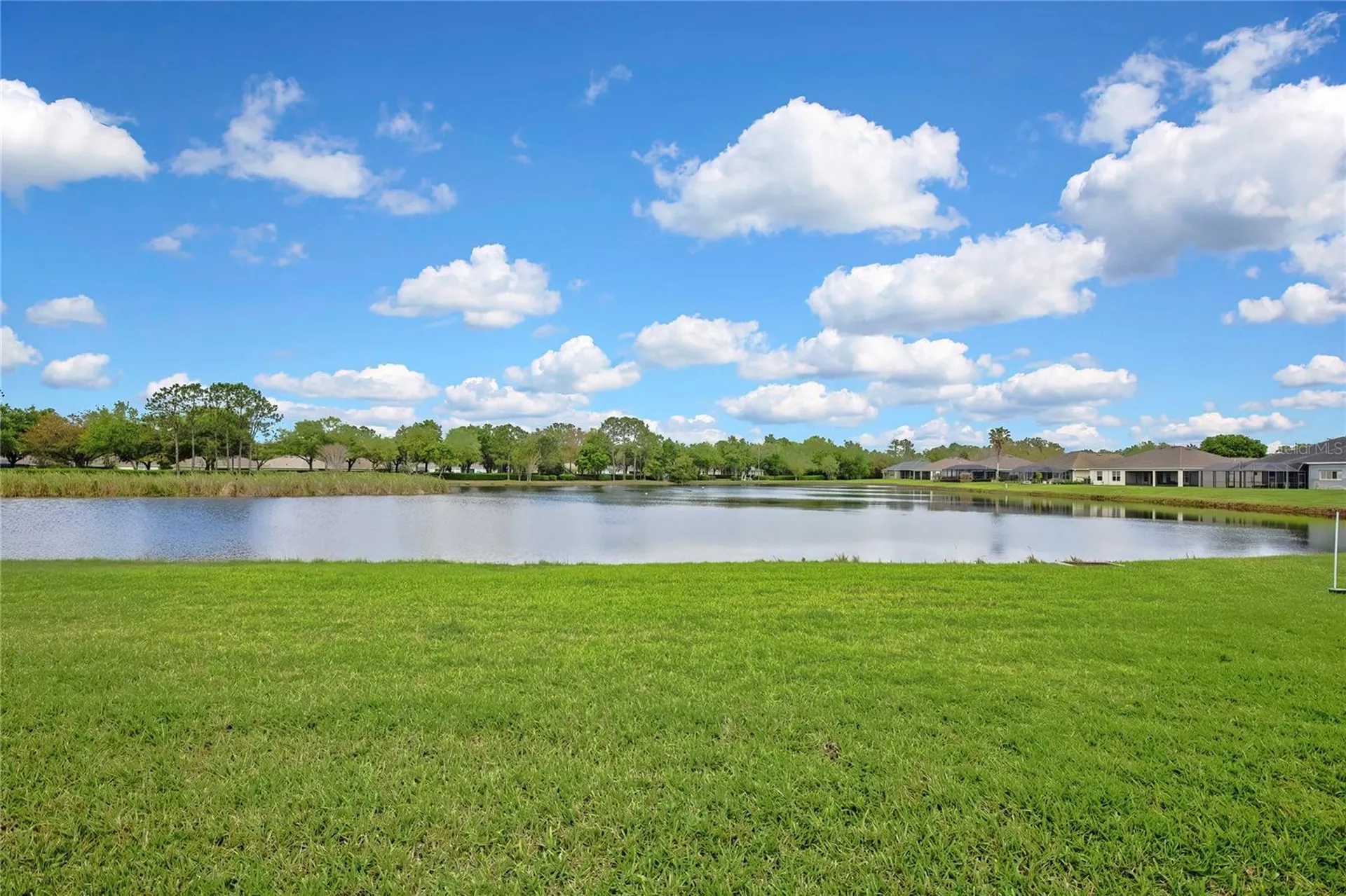 19863 Tattnall Way Brooksville FL 34601