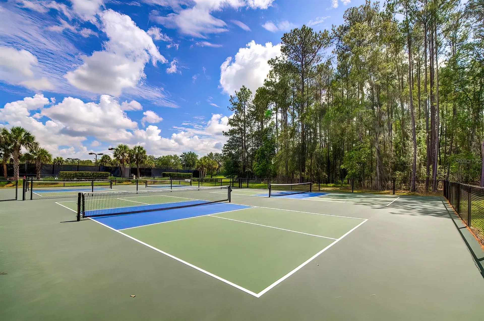 19863 Tattnall Way Brooksville FL 34601