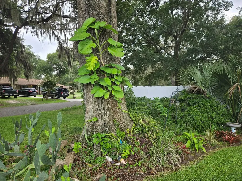 2043 NE 43rd Street Ocala FL 34479
