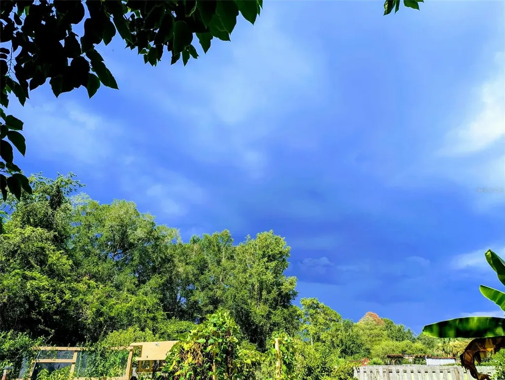 2043 NE 43rd Street Ocala FL 34479