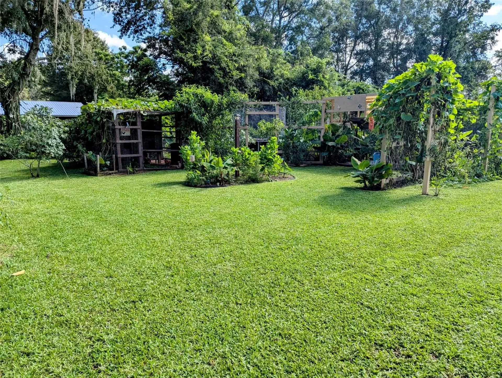 2043 NE 43rd Street Ocala FL 34479