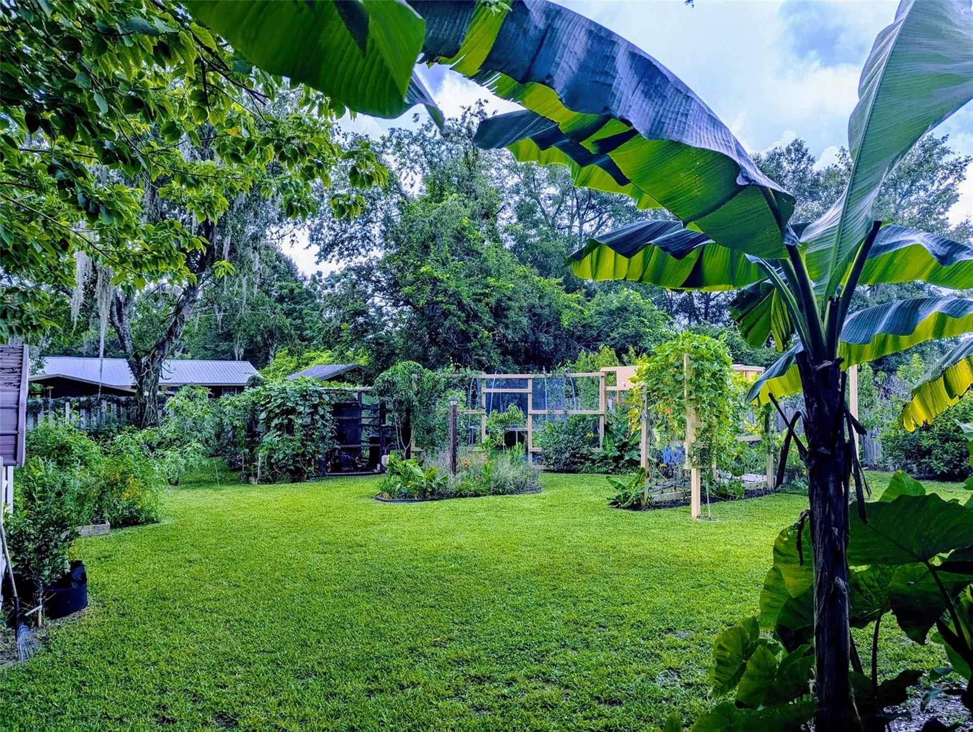 2043 NE 43rd Street Ocala FL 34479