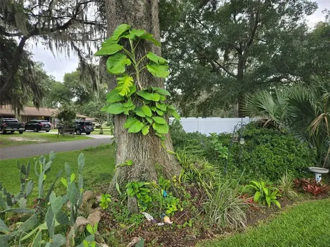 2043 NE 43rd Street Ocala FL 34479