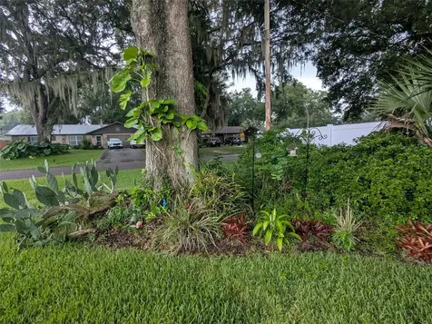 2043 NE 43rd Street Ocala FL 34479