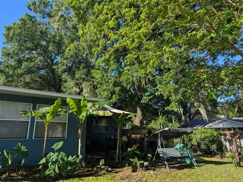 2043 NE 43rd Street Ocala FL 34479