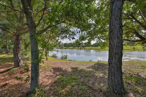6707 Park Strand Drive Apollo Beach FL 33572