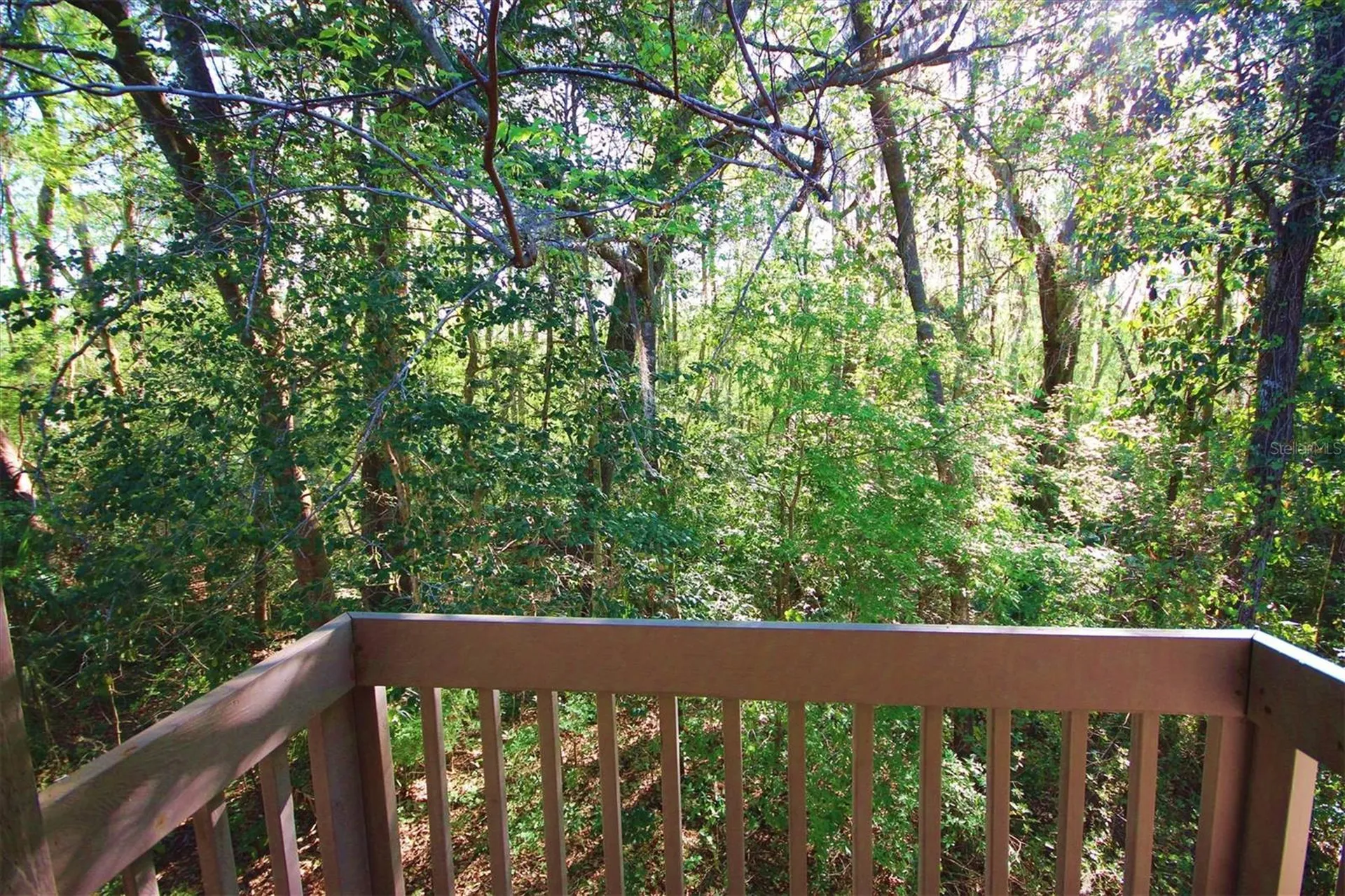 315 SW 54th Drive Gainesville FL 32607