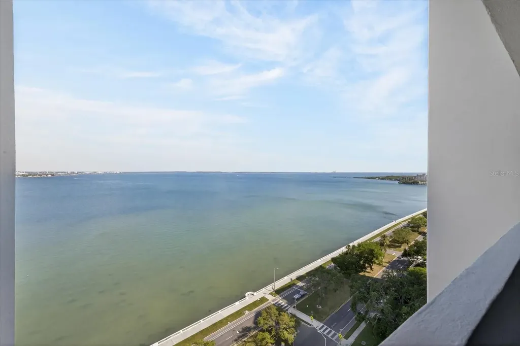 4141 Bayshore Boulevard Tampa FL 33611