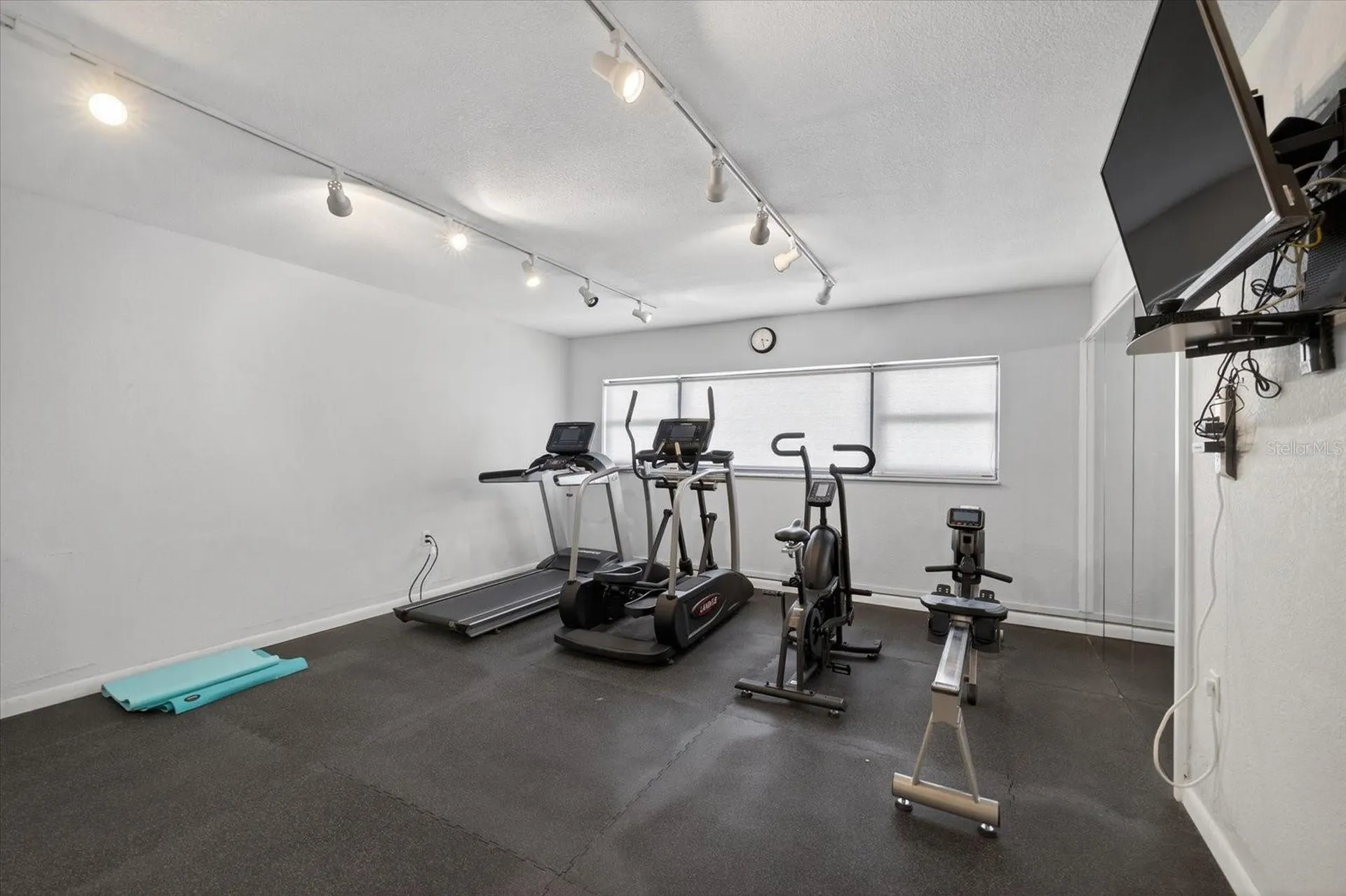 4141 Bayshore Boulevard Tampa FL 33611