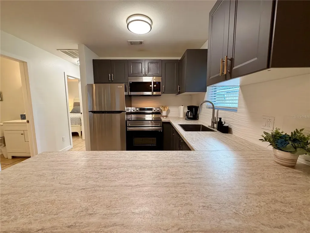 14010 NE 250th Circle Salt Springs FL 32134