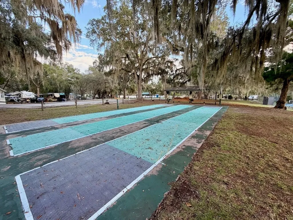 14010 NE 250th Circle Salt Springs FL 32134