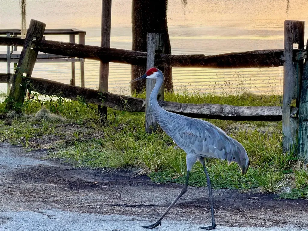 14010 NE 250th Circle Salt Springs FL 32134