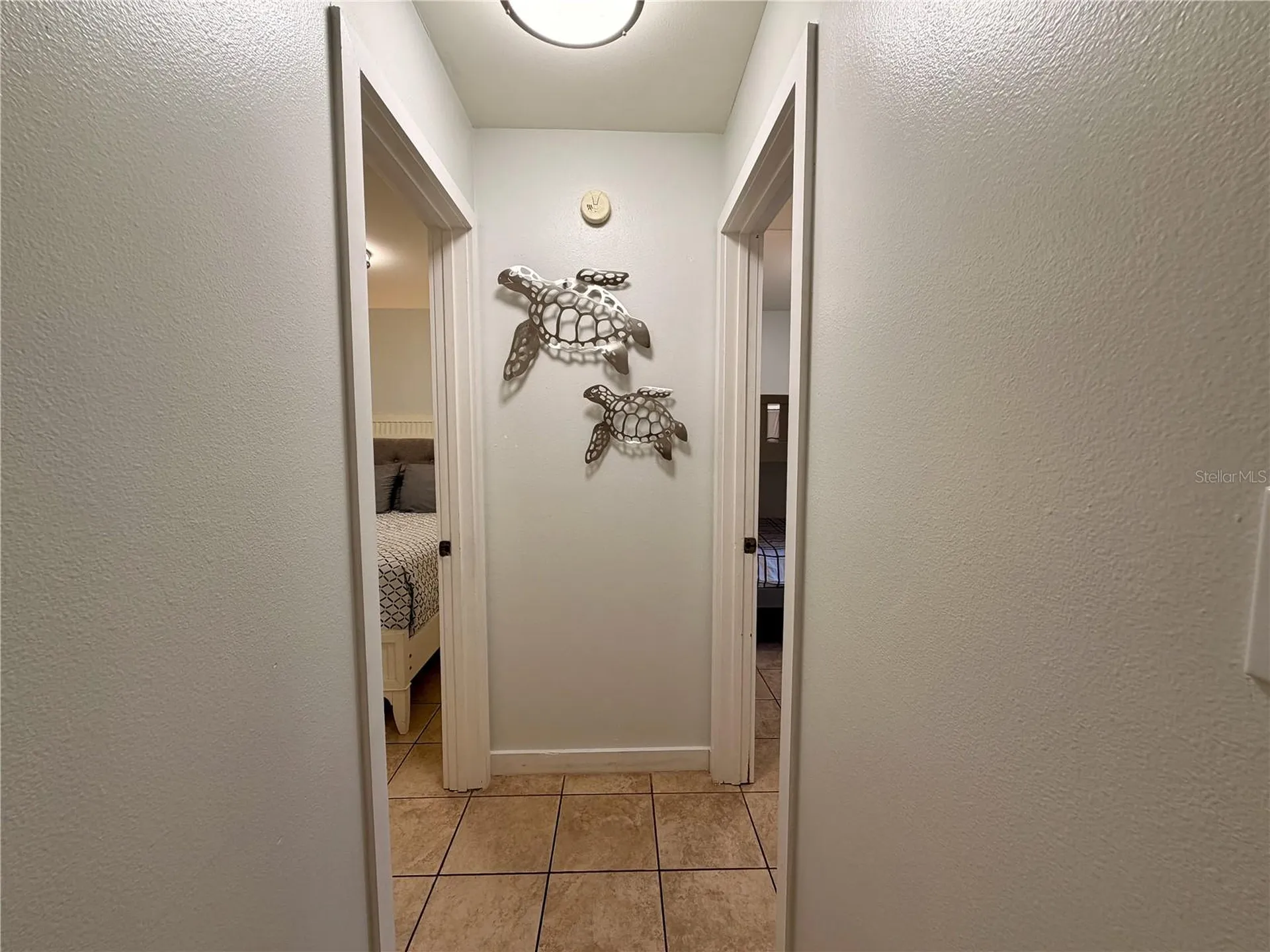14010 NE 250th Circle Salt Springs FL 32134