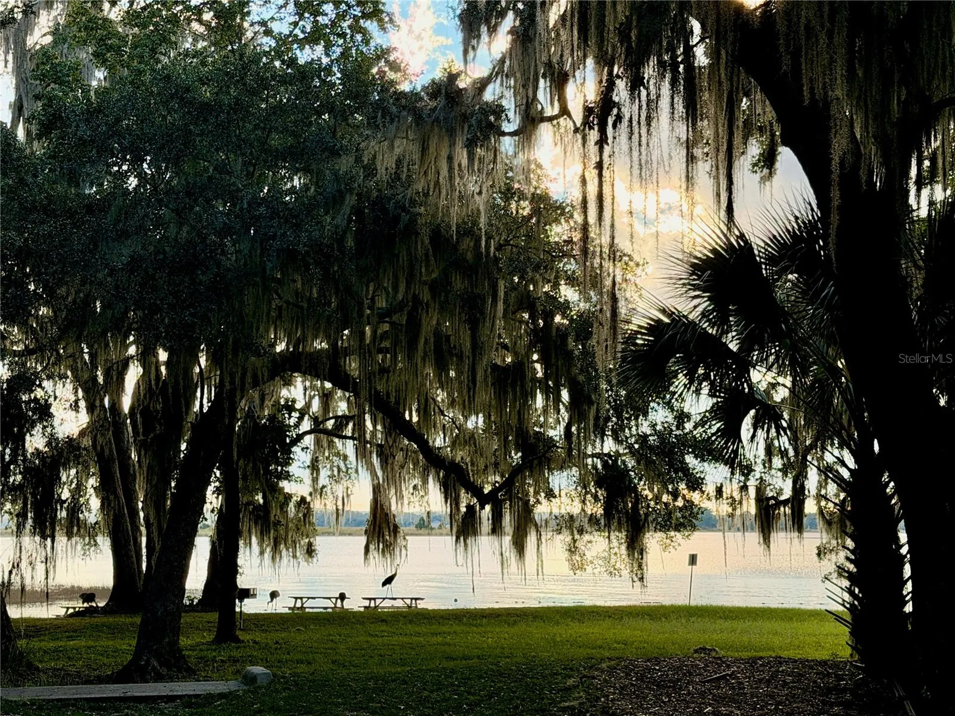 14010 NE 250th Circle Salt Springs FL 32134